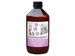 Dromy Echinaceový sirup 1000ml